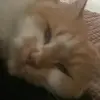 хамеранна - @raskidan - TikTok