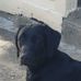 Dan Reagan - Facebook