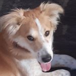 jeevan - @danreddyjeevan - Instagram