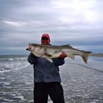 Dan Reel - @dan.reel - Instagram