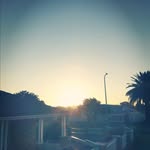 Danree - @danreeliu - Instagram