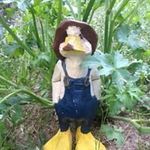 Dan Reeves - @dan.reeves - Instagram