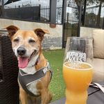 Dan Renfro - @danrenfro18 - Instagram
