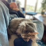 Dan Rennie - @rennie.dan - Instagram