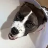 Dan Resch - @danresch - TikTok