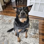 Dan Richmond - @dan_richmond005 - Instagram
