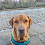 Dan Richmond - @dan.richmond.526 - Instagram