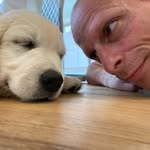 Dan Richmond - @danhrichmond - Instagram