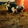 danrichmond925 - @danrichmond925 - TikTok