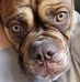 Dan Ricketts - Facebook