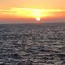 Dan Ricketts - Facebook