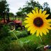 Dana Ridenour - Facebook