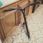 Dan rider - @trotti_rider_94 - Instagram
