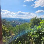 Dan Rieber - @rieberdan - Instagram