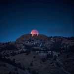 Dan Rieck - @dan.rieck.39 - Instagram