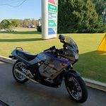 Daniel Cristiano Riegel - @danielcristianoriegel - Instagram