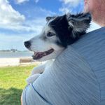 Dan Riggs - @driggsfl - Instagram