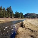 Dan Riggs - @danriggs29 - Instagram