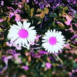 dan_right - @dan_right2 - Instagram