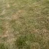 daniel - @danright09 - TikTok