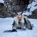 Daniel Ringwald - Facebook