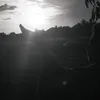 DAN RIO - @atuppacaldodanrioo1 - TikTok