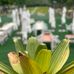 Dan Rio - Facebook