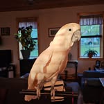 Dan & Max (RIP Dusty) - @angeleyeddan - Instagram