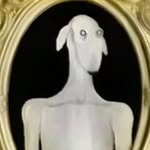 @dan.ripata267south - Instagram