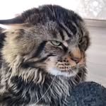 @danripa - Instagram