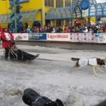Dan Risser - @riverhavendan - Instagram