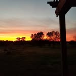 Dan Rizzo - @dcriz78 - Instagram