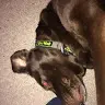 Dan Rizzo - @danrizzo7 - TikTok