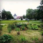 Dan Roberson - @danroberson494 - Instagram