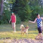 Dan Robillard - @drobillard4 - Instagram