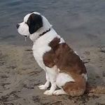 Dan Robillard - @danrobillard120969 - Instagram