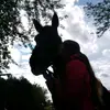 Danika Robitaille - @danikarobitaille - TikTok