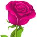 Dan Roch - Facebook