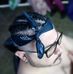 Dan Rocha - Facebook