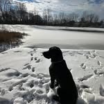 Dan Rodabaugh - @danrodabaugh - Instagram