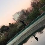 Dan roddis - @dan_roddis_ - Instagram