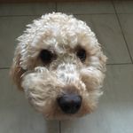 Dan Rodden - @dan_r0dd3n - Instagram