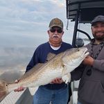 Dan Roddenberry - @roddenberrydan - Instagram