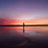 Daniel González4339 - @danirodman - TikTok