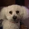 danrodman3 - @danrodman3 - TikTok
