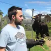 Dan - @danroe42 - TikTok