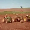 danroeschli - @danroeschli - TikTok
