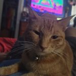 Dan Ronan - @ronan_dan - Instagram