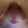 Dan Roper - @user929721832 - TikTok