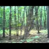 Dan Roque - @danroque197 - TikTok